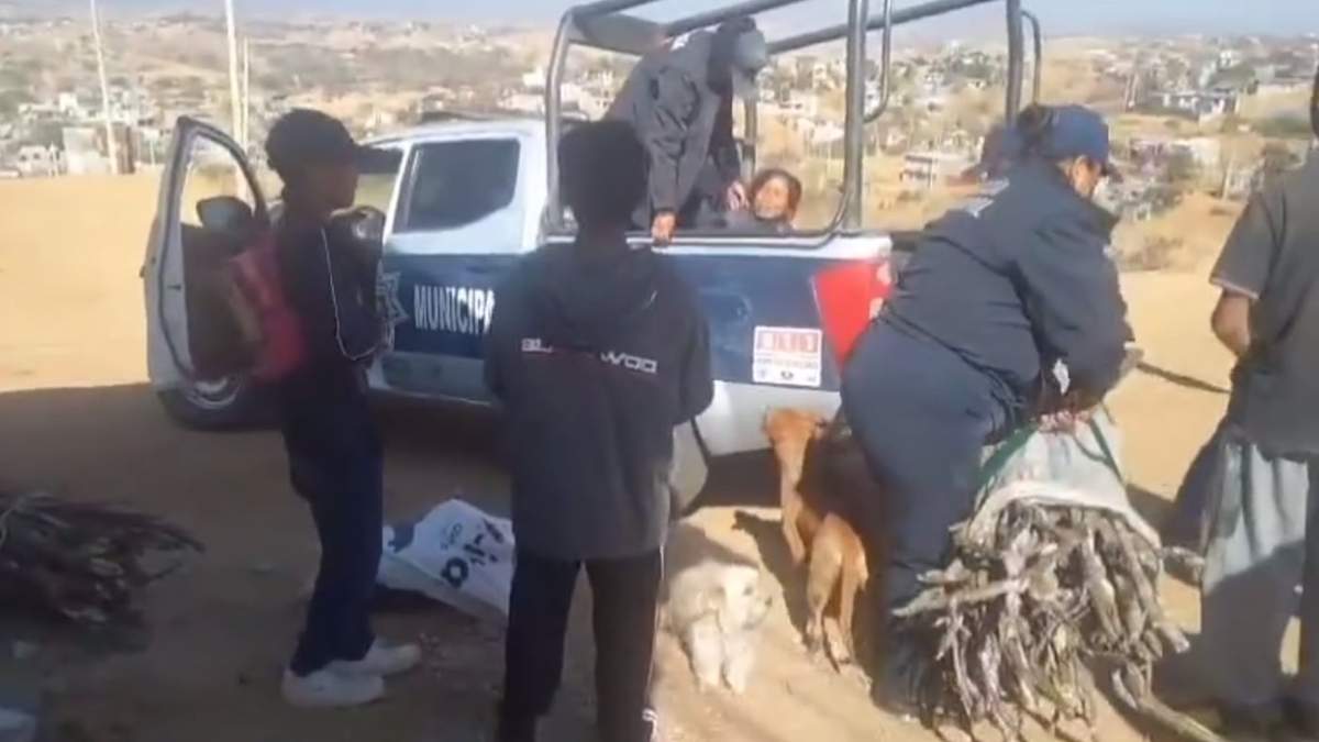 El momento en el que las dos mujeres son detenidas y la leña confiscada