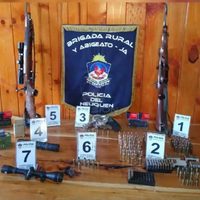 Un detenido y armas secuestradas en un allanamiento por la muerte de un animal