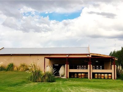 Los restaurantes mendocinos que se quedaron con la estrella