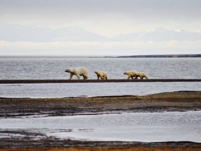Se registra nuevo récord de temperatura máxima en el Ártico de 38 °C