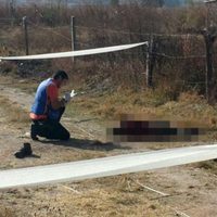 Perros atacan hasta la muerte a velador en los límites de Tonalá y Tlaquepaque