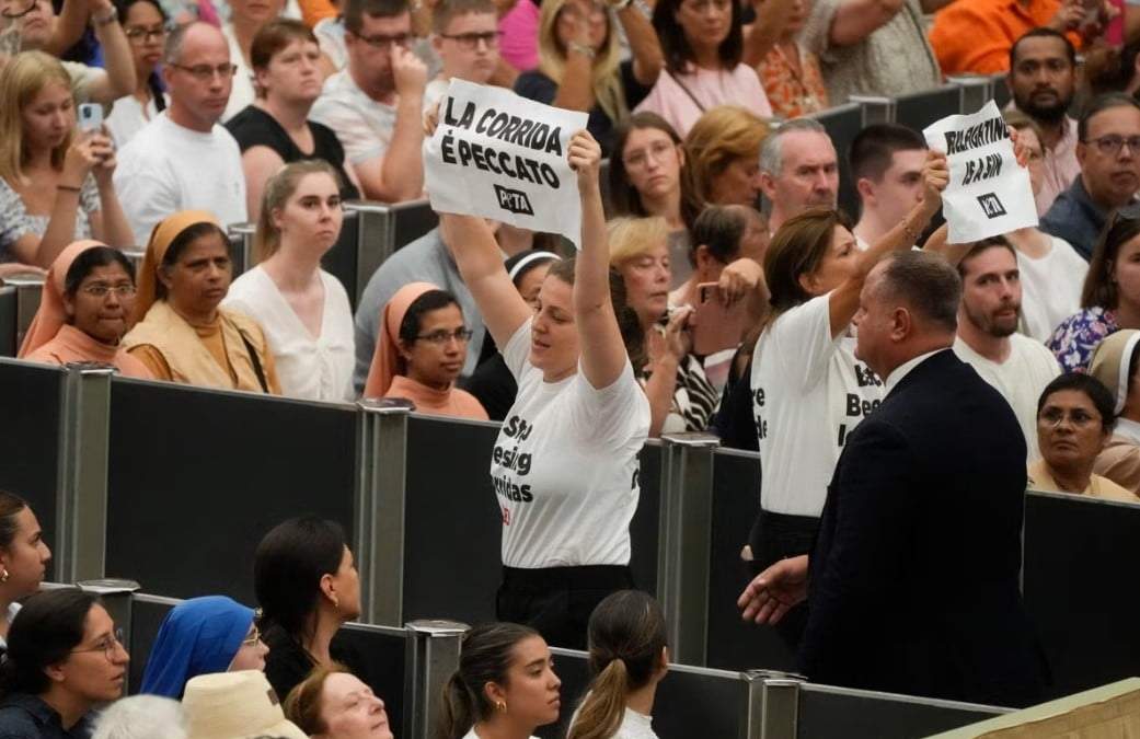 Dos manifestantes con camisetas que dicen "dejen de bendecir las corridas" sostienen carteles con el mensaje "las corridas son pecado" durante la audiencia general del papa Francisco en el salón Pablo VI del Vaticano