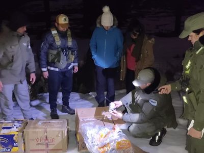 Intentaron contrabandear medicamentos veterinarios a campo traviesa hasta que fueron descubiertos por Gendarmería