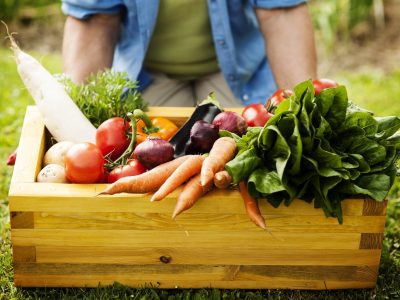 No pierdas tiempo: las plantas que tenés que sembrar en tu huerta en otoño si querés disfrutar de la cosecha en pocos meses