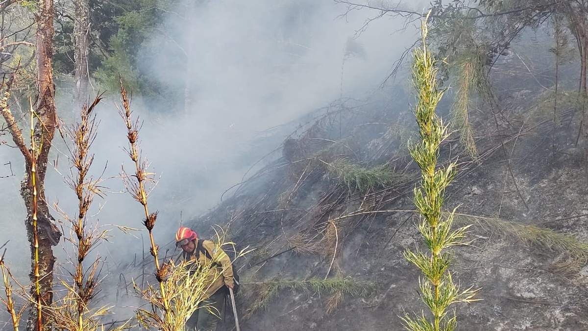 La lucha contra el fuego sigue