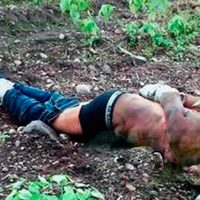 Hallan a un hombre decapitado en Múgica, Michoacán
