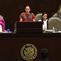 Diputados reclaman a la secretaria del Bienestar que programas sociales no cuenten con reglas de operación