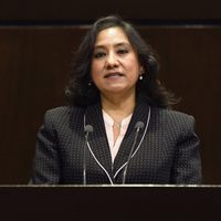 En la 4T, no se ha protegido a nadie, dice Irma Eréndira Sandoval