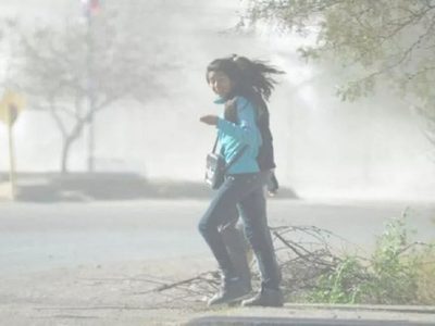 Neuquén bajo alerta amarilla del SMN por vientos fuertes y lluvias