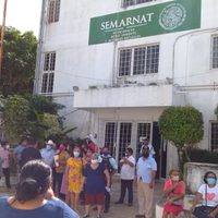 Comunidades piden negar autorización de impacto ambiental al primer tramo del Tren Maya