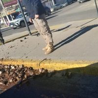 Encontraron al responsable de las cabezas de truchas desparramadas en la avenida Mosconi
