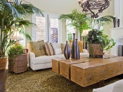 Cómo hacer el sustrato ideal para tus plantas de interior y ahorrar dinero