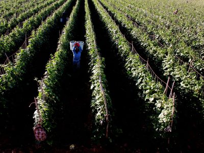 El PIB de México crece en el tercer trimestre, reporta INEGI