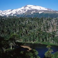 Un centro termal de excelencia: te revelamos qué actividades podés realizar en Copahue
