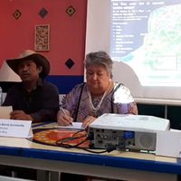 Organizaciones y académicos reiteran su rechazo al Tren Maya