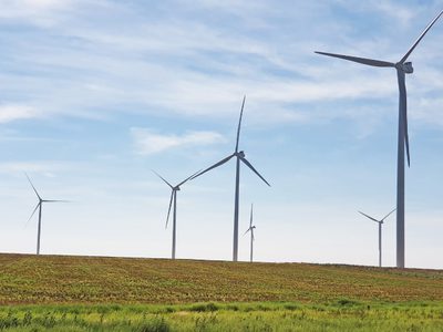 Una compañía automotriz argentina comenzó a funcionar en su totalidad con energía renovable