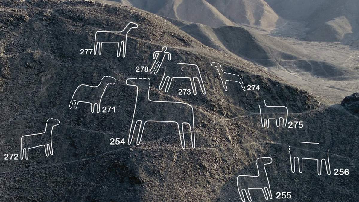 Parte de las nuevas líneas de Nazca. Fuente: (Twitter)