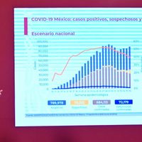 Aún no se sabe si es posible infectarse al mismo tiempo de influenza y covid-19: Ssa