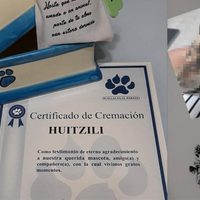 Queman vivo a "Huitzili", un cachorro de tres meses, en León