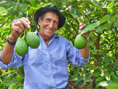 Productores de la economía popular tendrán una cámara de representación