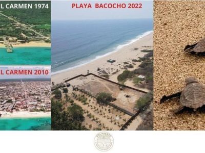 Piden a Murat detener complejo inmobiliario que pone en riesgo campamento tortuguero
