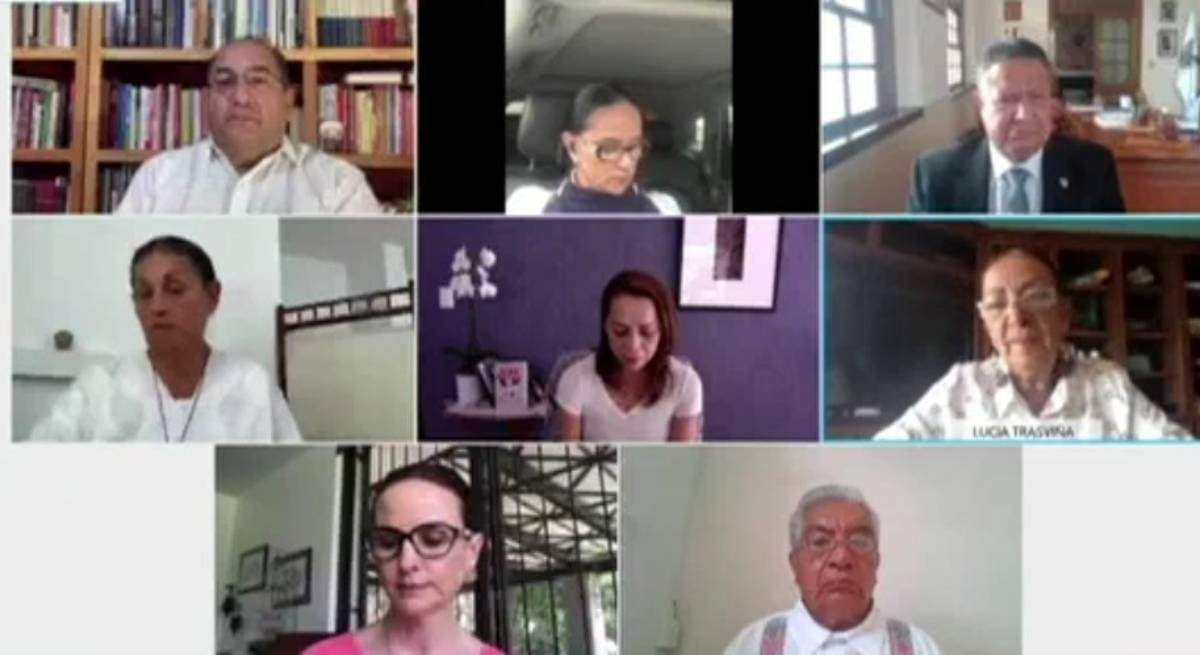 Sesión virtual de comisiones