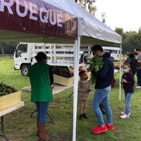 Así puedes cambiar cuadernos, libros y cartoncillos por plantas en el mercado del Trueque