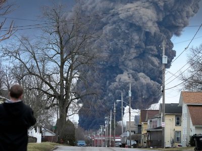 Alrededor de 45.000 animales fallecieron por el descarrilamiento del tren en Ohio