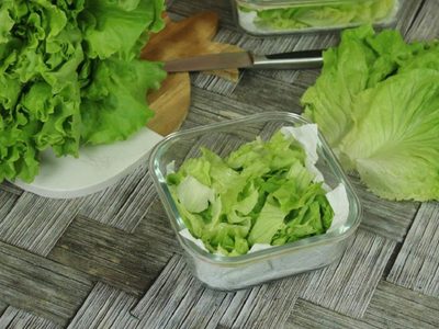 La lechuga está cara: cultivala en casa con este simple truco que cuida tu bolsillo