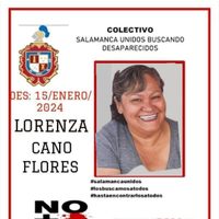 Comando secuestra a una buscadora y asesina a su esposo e hijo en Salamanca