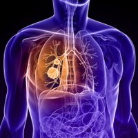 El 15% de los pacientes de cáncer de pulmón no son fumadores: la contaminación es la culpable