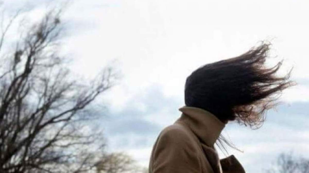 El viento fuerte será el protagonista del clima de este martes. Fuente:  (X)