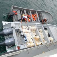 Detienen a dos hombres y aseguran droga frente al puerto de Acapulco