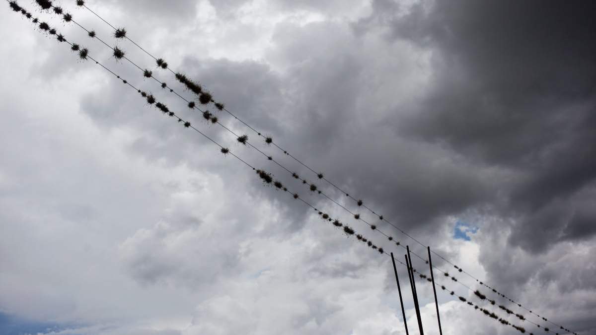 La propuesta busca que los cables de servicios estén bajo tierra