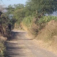 Puebla: violan y matan a niña y encuentran otros dos cuerpos que podrían ser de sus padres