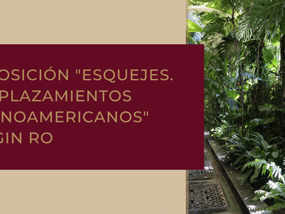 Gin Ro en el Instituto Cultural de México en Madrid
