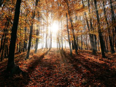 Revelan secretos del Sol: captan las llamaradas más pequeñas jamás vistas