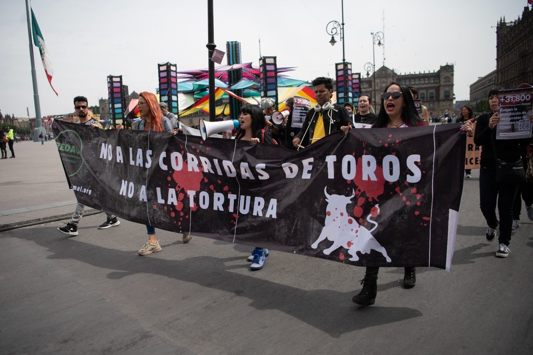 antitaurinos-2