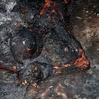 Hallan los cadáveres calcinados de dos hombres en Chilapa
