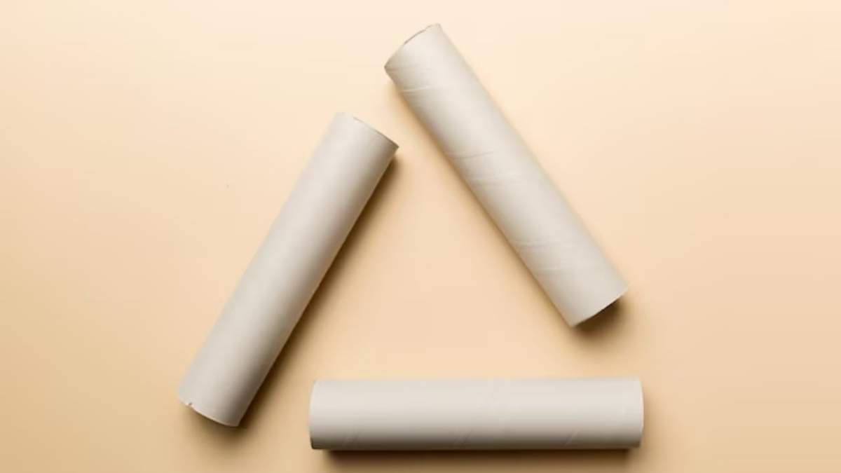 Rollos de papel de cocina. Fuente: (Instagram)