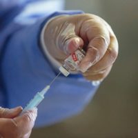 Llegan a Río Negro más de 20 mil dosis contra el coronavirus