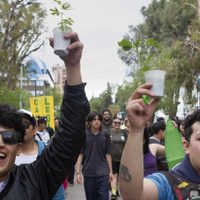 Neuquén se sumó a la Marcha de la Marihuana en reclamo de una legalización integral de la planta