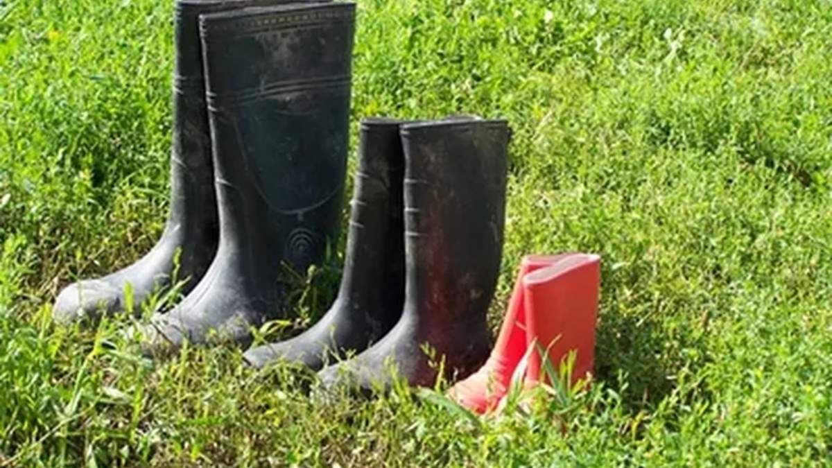 Botas. Fuente: (X)