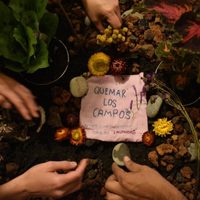 Teatro documental: "Quemar los campos" en la colonia Juárez