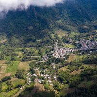 Sembrando Vida: traición en la cañada