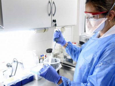 Domingo en Zapala: reportan 23 nuevos casos positivos de coronavirus