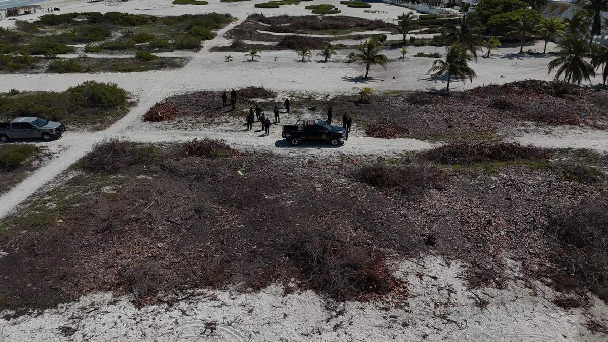Manglar destruido en Sisal, Yucatán