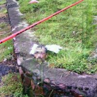Dejan cabeza y cuerpo desmembrado con un narcomensaje en Michoacán