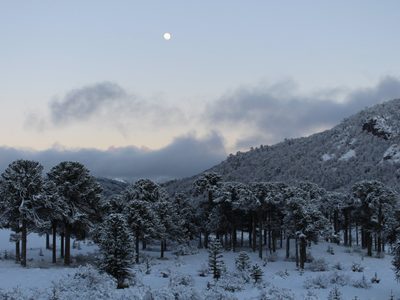 Lanzan una alerta meteorológica para un área de la región: toda la información