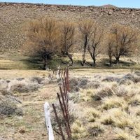 Neuquén pidió a Nación que declare la emergencia agropecuaria por sequía y otorgue beneficios impositivos